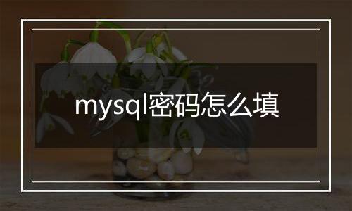mysql密码怎么填