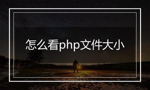 怎么看php文件大小