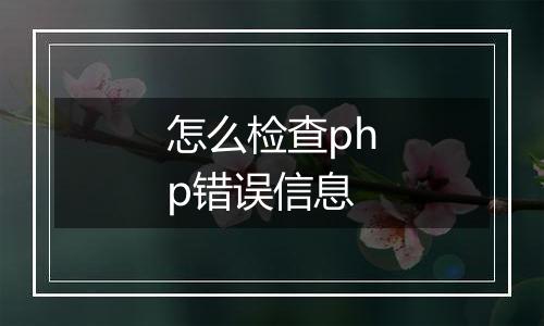怎么检查php错误信息