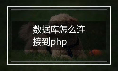 数据库怎么连接到php