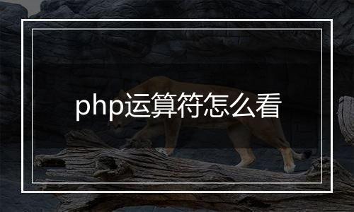 php运算符怎么看