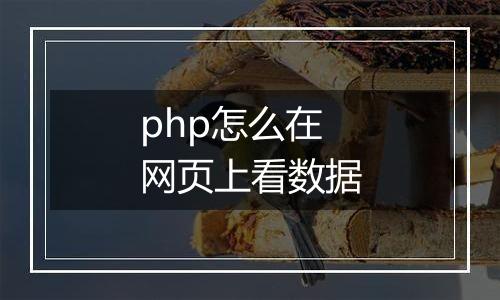 php怎么在网页上看数据