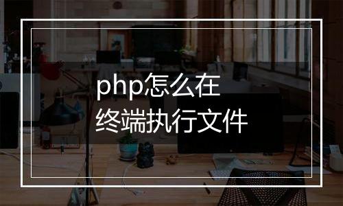 php怎么在终端执行文件