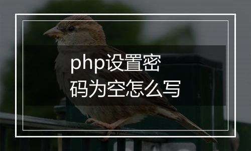 php设置密码为空怎么写