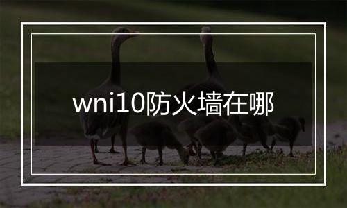 wni10防火墙在哪