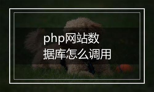 php网站数据库怎么调用