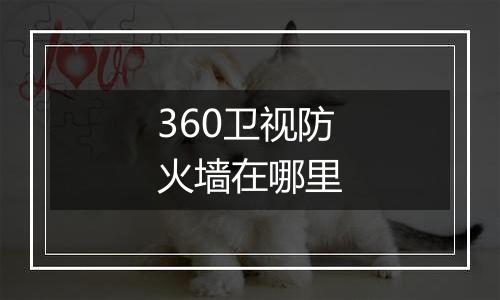 360卫视防火墙在哪里