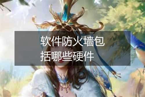 软件防火墙包括哪些硬件