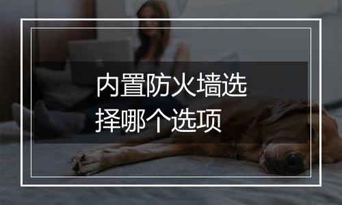内置防火墙选择哪个选项