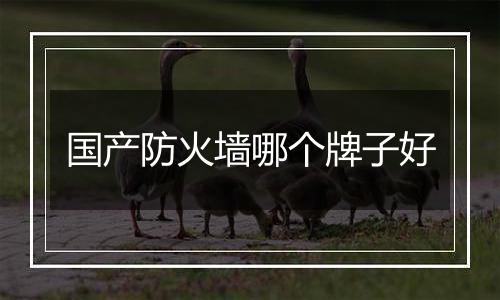 国产防火墙哪个牌子好