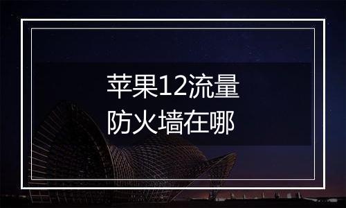 苹果12流量防火墙在哪