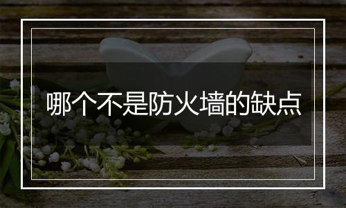 哪个不是防火墙的缺点