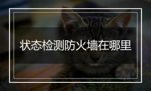 状态检测防火墙在哪里