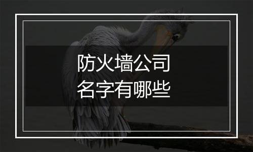 防火墙公司 名字有哪些