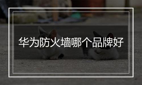 华为防火墙哪个品牌好