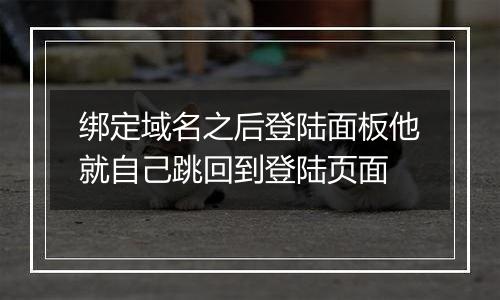 绑定域名之后登陆面板他就自己跳回到登陆页面