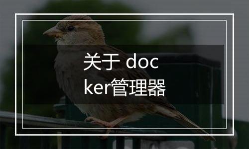 关于 docker管理器