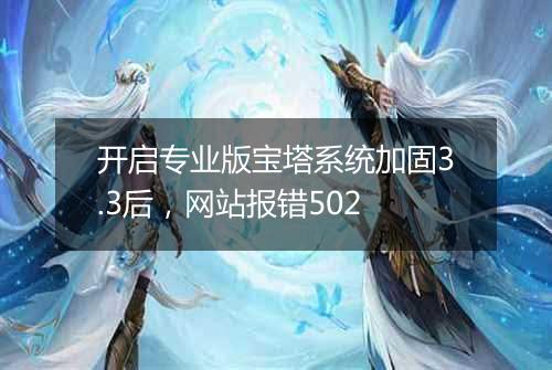 开启专业版宝塔系统加固3.3后,网站报错502