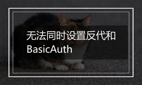 无法同时设置反代和BasicAuth