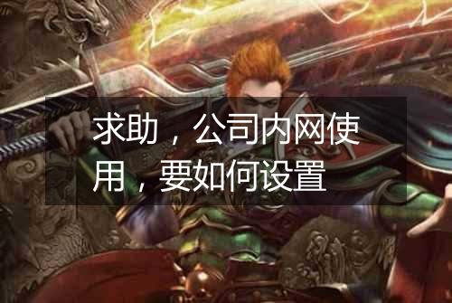 求助，公司内网使用，要如何设置