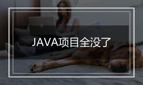 JAVA项目全没了