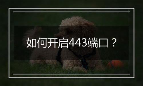 如何开启443端口？