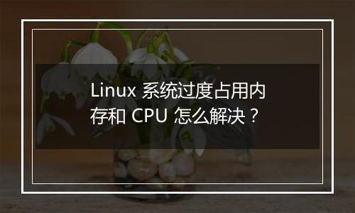 Linux 系统过度占用内存和 CPU 怎么解决?