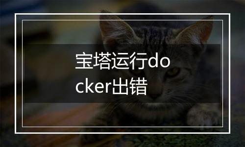 宝塔运行docker出错