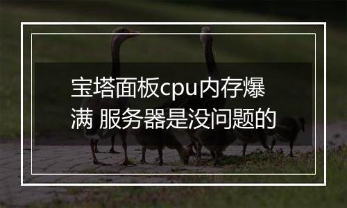 宝塔面板cpu内存爆满 服务器是没问题的