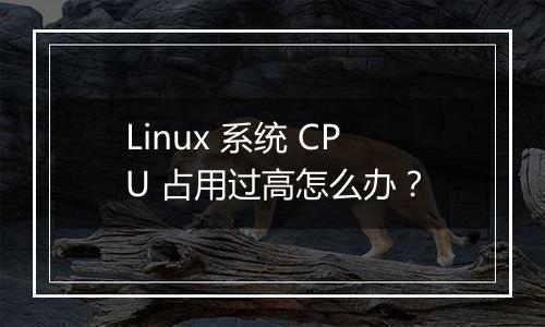 Linux 系统 CPU 占用过高怎么办？
