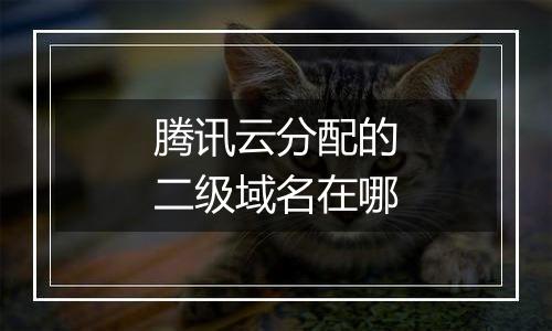 腾讯云分配的二级域名在哪
