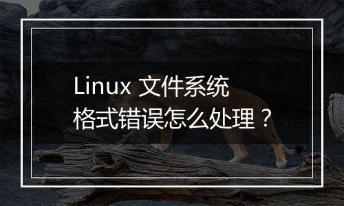 Linux 文件系统格式错误怎么处理?