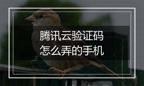 腾讯云验证码怎么弄的手机