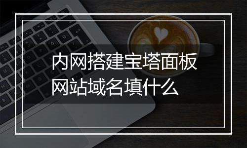 内网搭建宝塔面板网站域名填什么