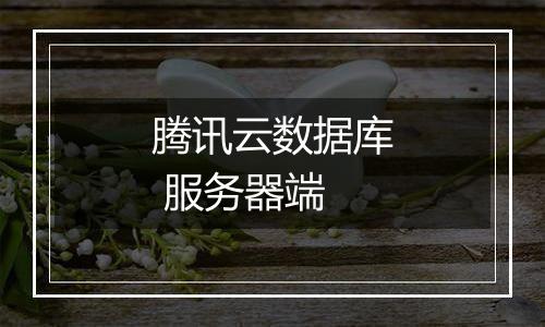腾讯云数据库 服务器端