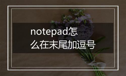 notepad怎么在末尾加逗号