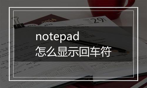 notepad怎么显示回车符