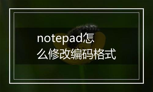 notepad怎么修改编码格式