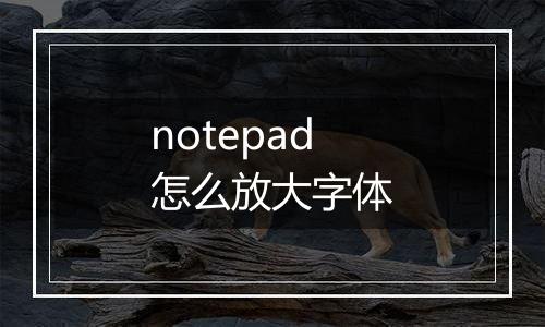 notepad怎么放大字体