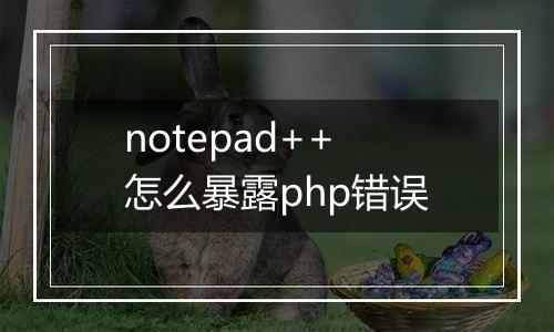 notepad++怎么暴露php错误