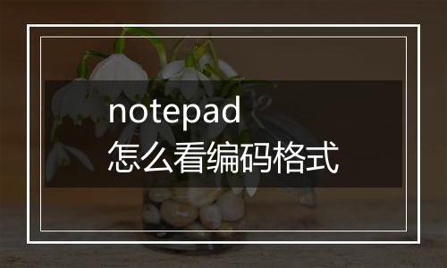notepad怎么看编码格式