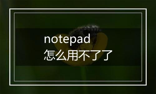 notepad怎么用不了了