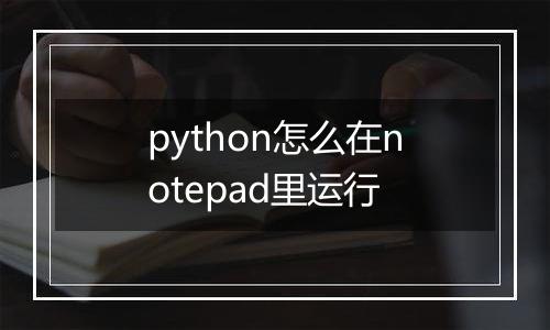 python怎么在notepad里运行