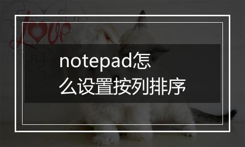 notepad怎么设置按列排序