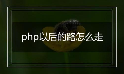php以后的路怎么走