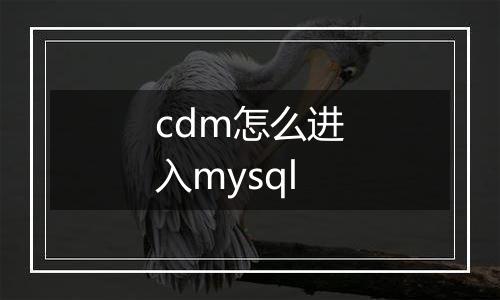 cdm怎么进入mysql