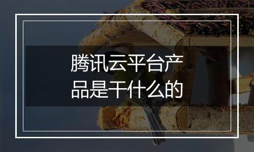 腾讯云平台产品是干什么的