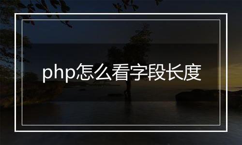 php怎么看字段长度