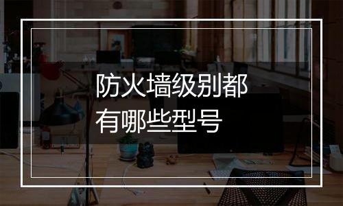 防火墙级别都有哪些型号