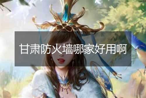 甘肃防火墙哪家好用啊
